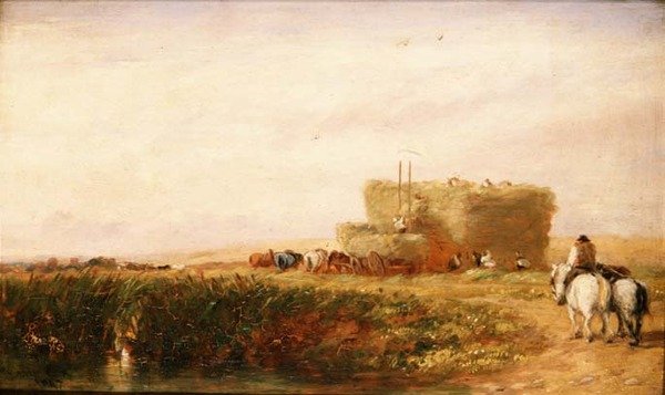 Le champ de foin - David Cox