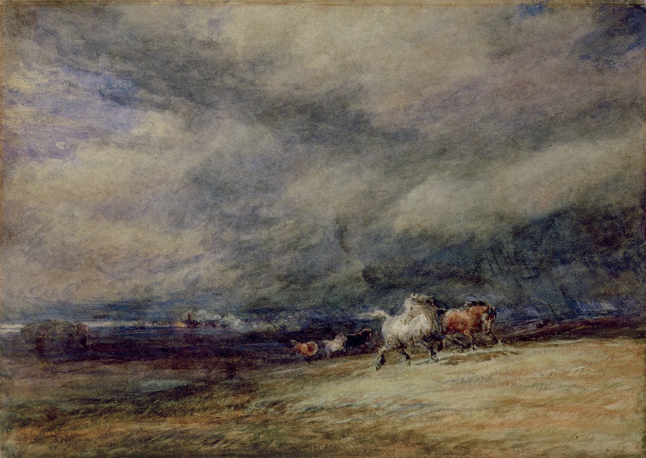 Le train de nuit - David Cox