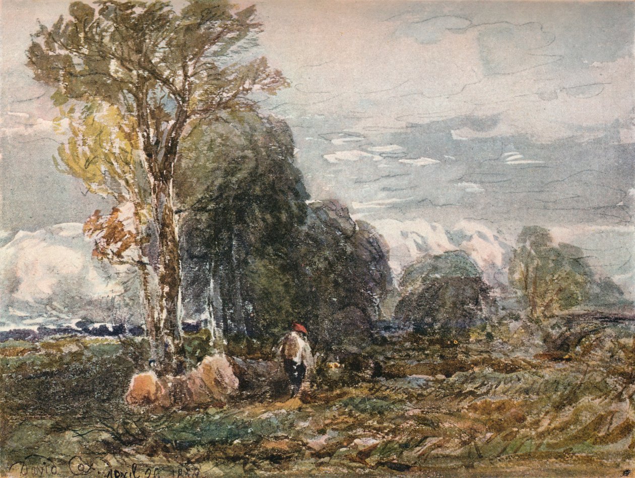 Le Bûcheron, 1858 - David Cox the elder