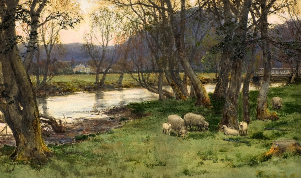 Achray - David Farquharson