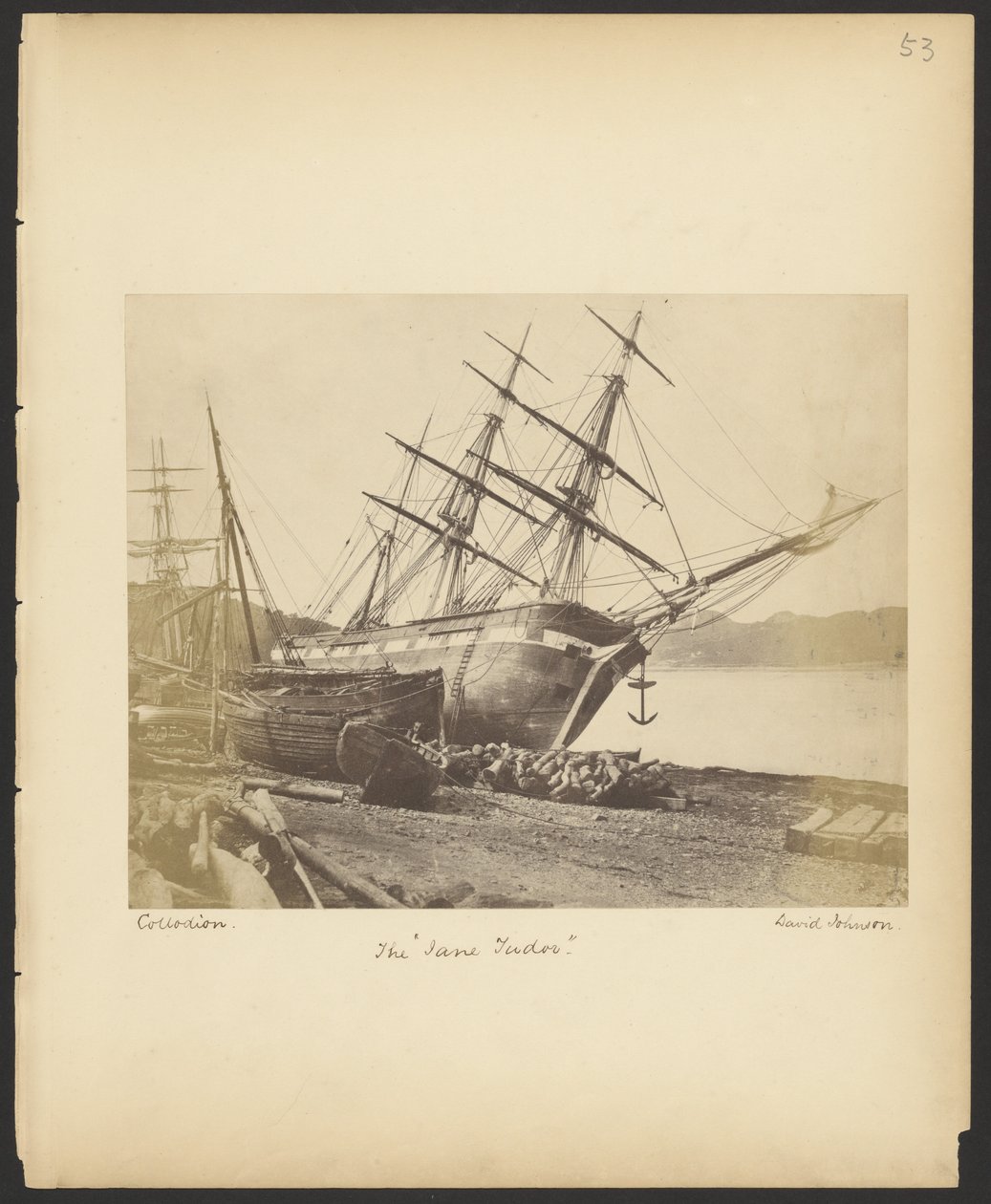 La "Jane Tudor" - David Johnson