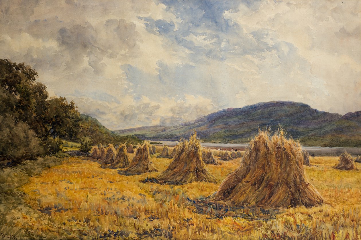 Lanrick Mead - David Law