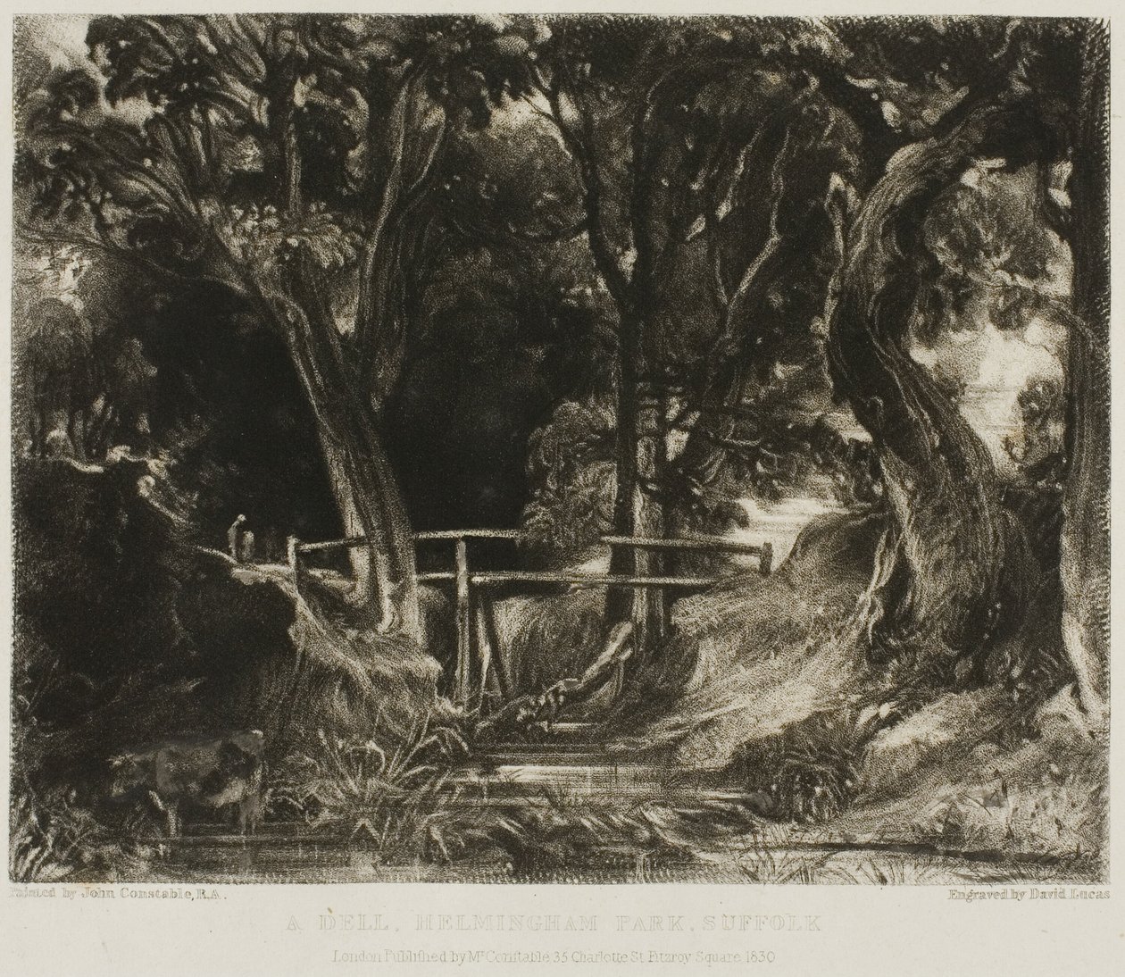 Un vallon, parc de Helmingham, Suffolk - David Lucas
