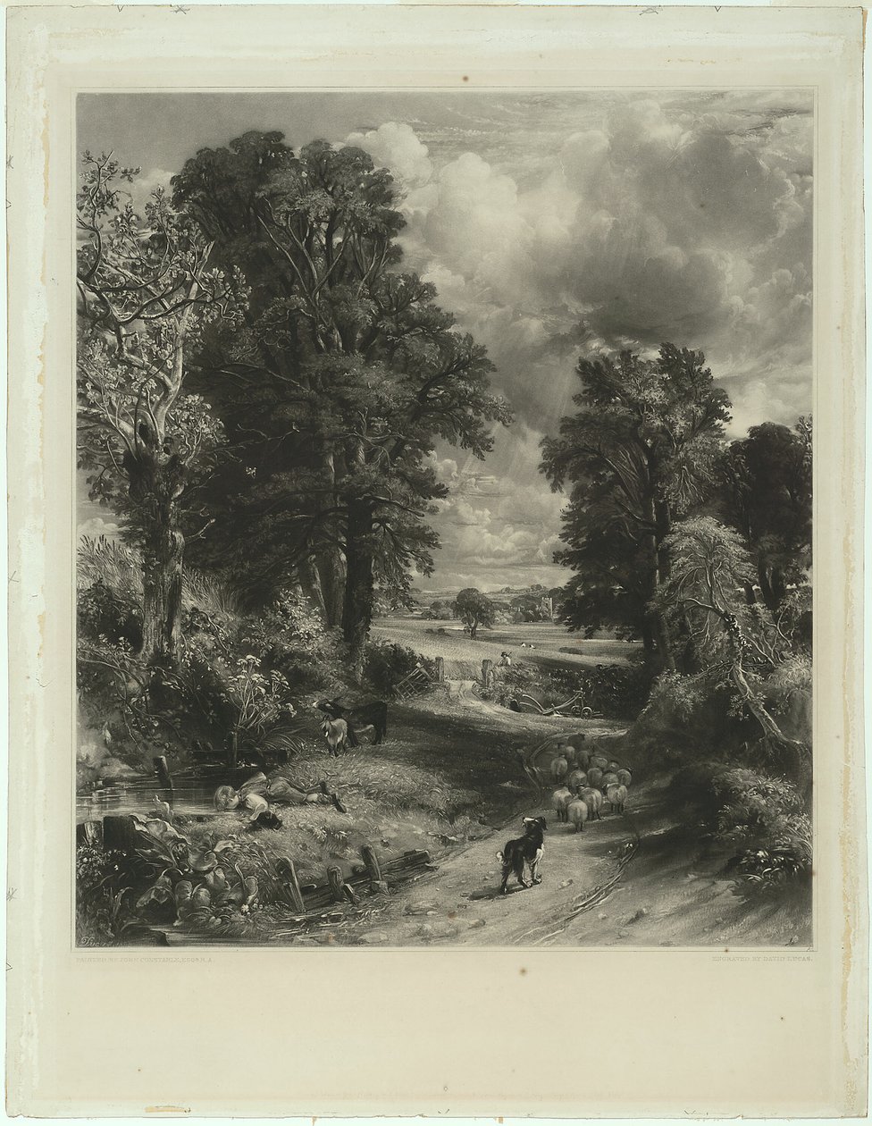Le champ de blé - David Lucas