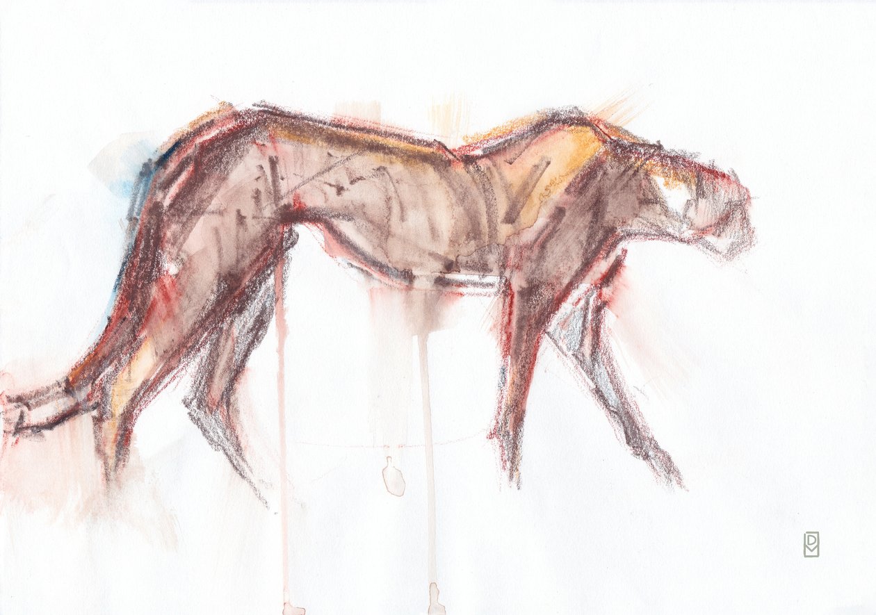 Chasse au guépard, 2019 - David Mayer