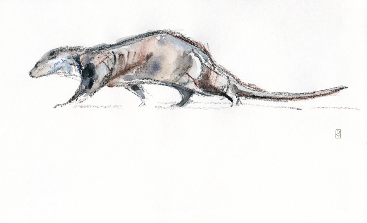 Loutre courant, 2022 - David Mayer
