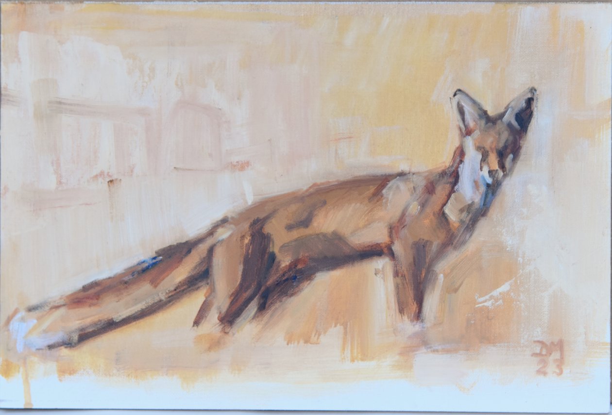 Renard rouge, 2022 - David Mayer