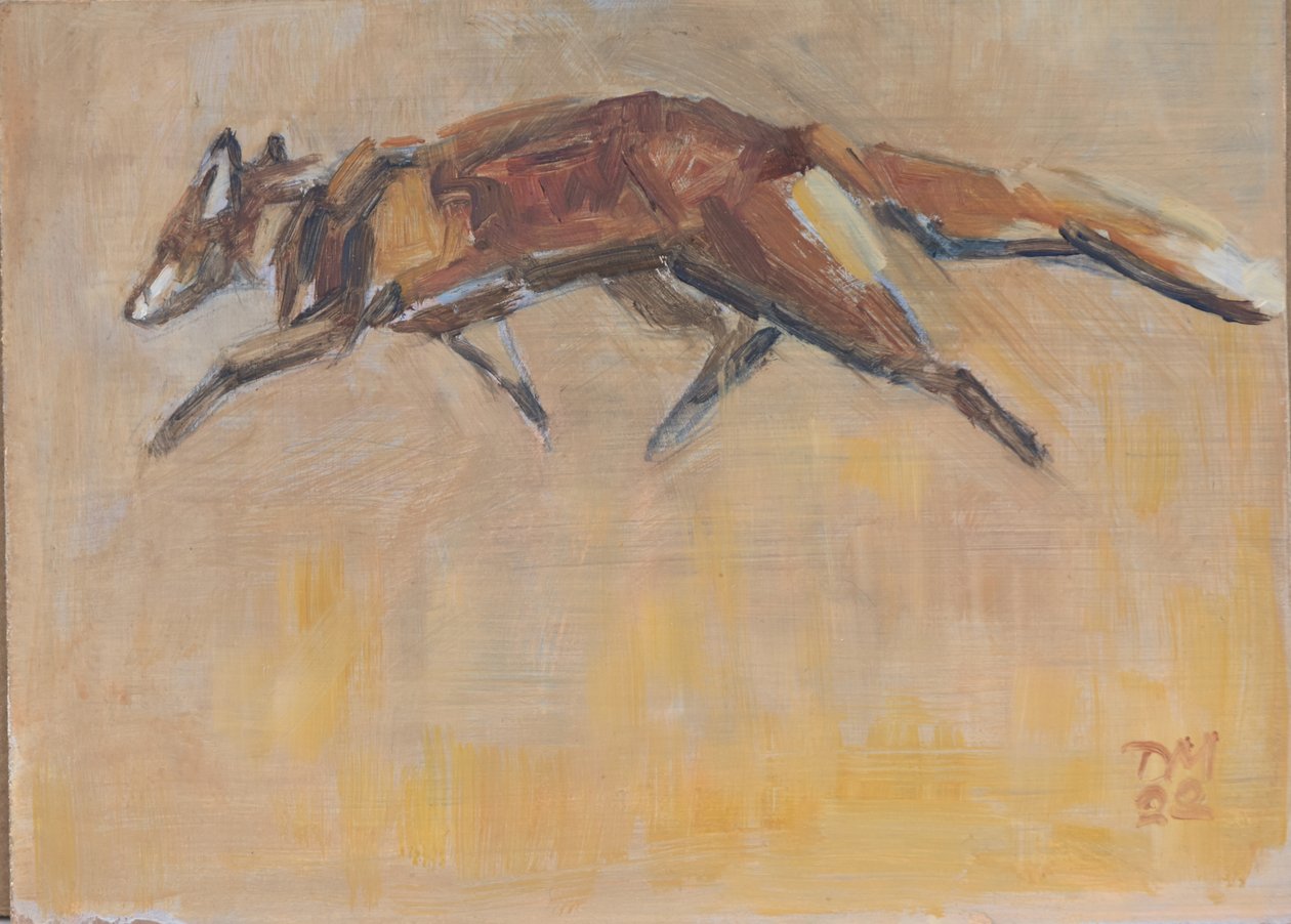 Renard rouge - David Mayer