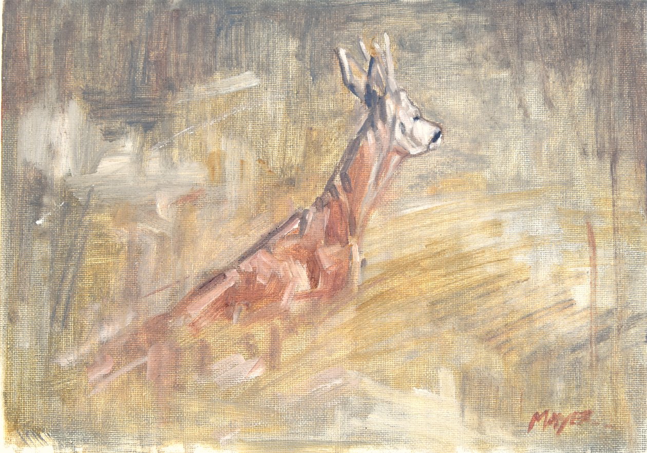 Chevreuil, 2023 - David Mayer