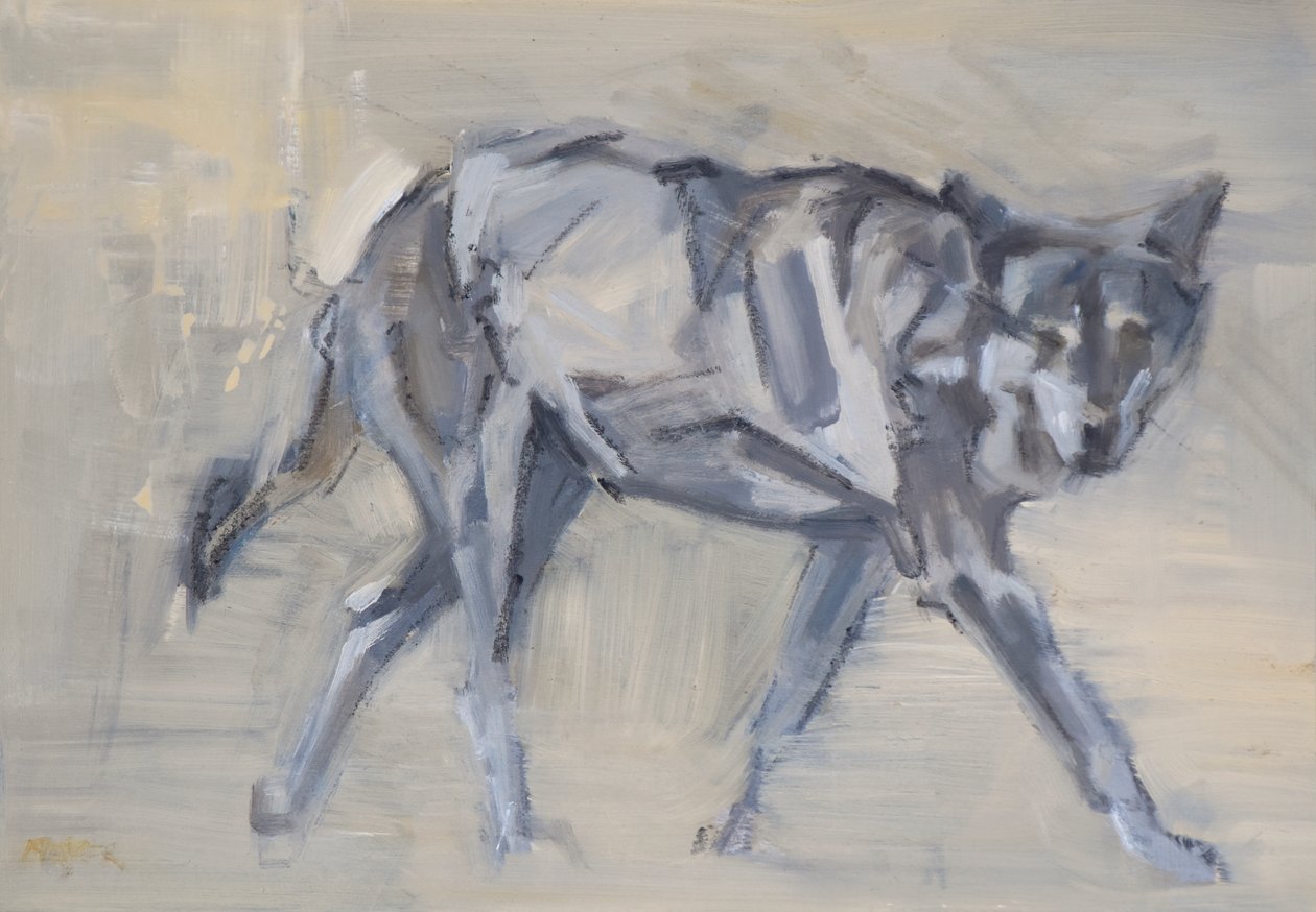 Loup 11, 2023 - David Mayer