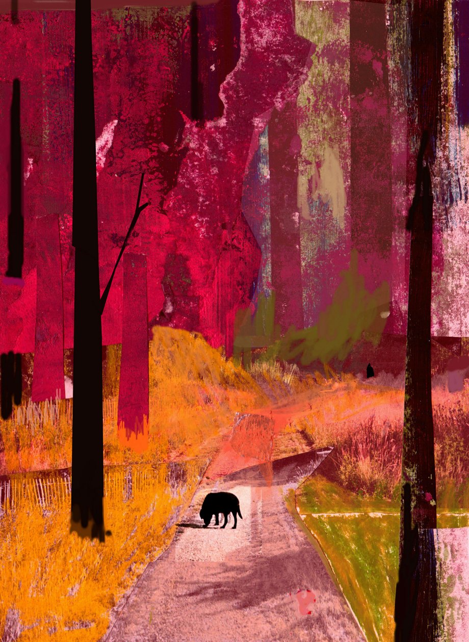 Chien noir, 2013 - David McConochie