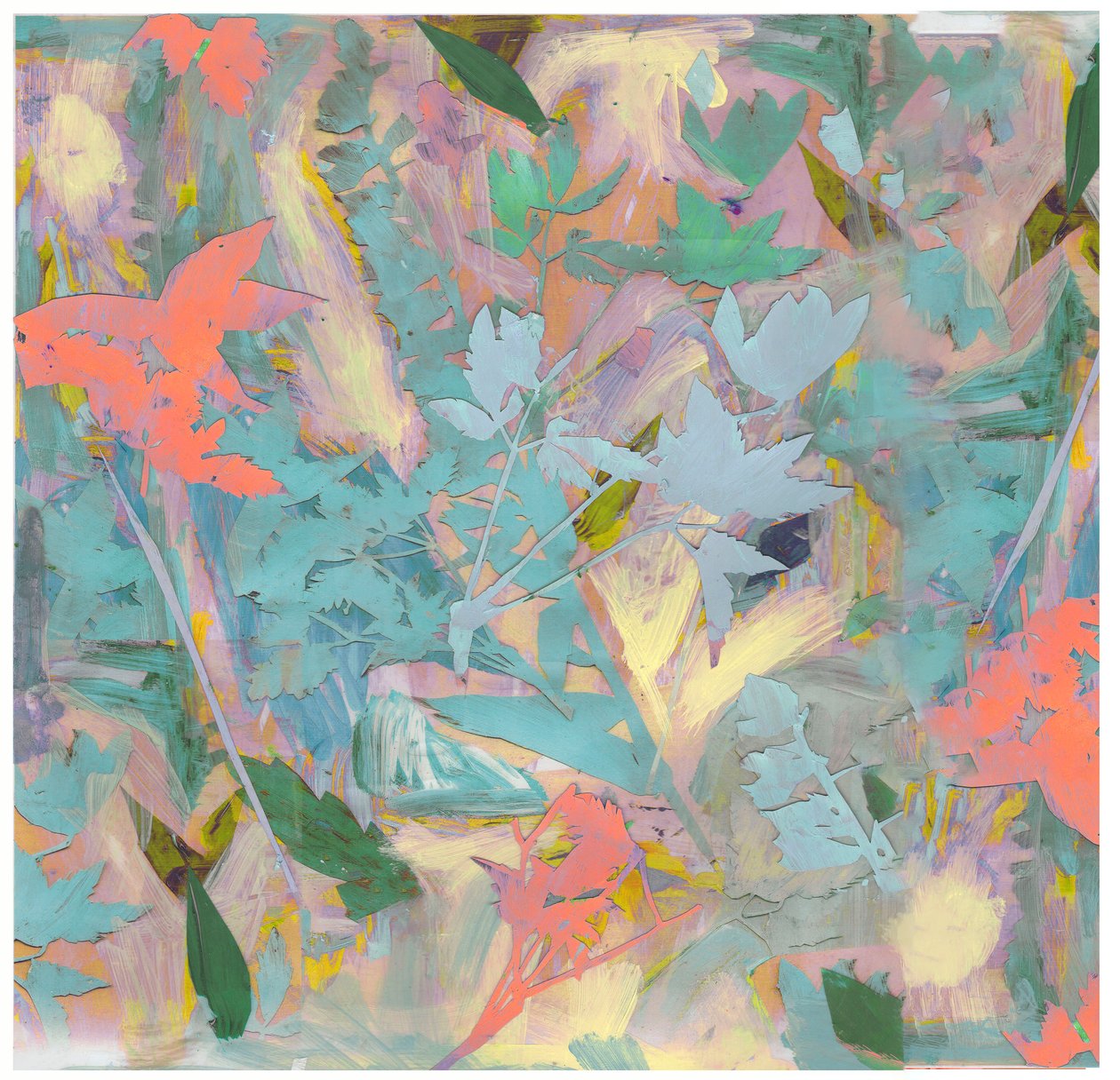 Collage botanique #3, 2017 - David McConochie