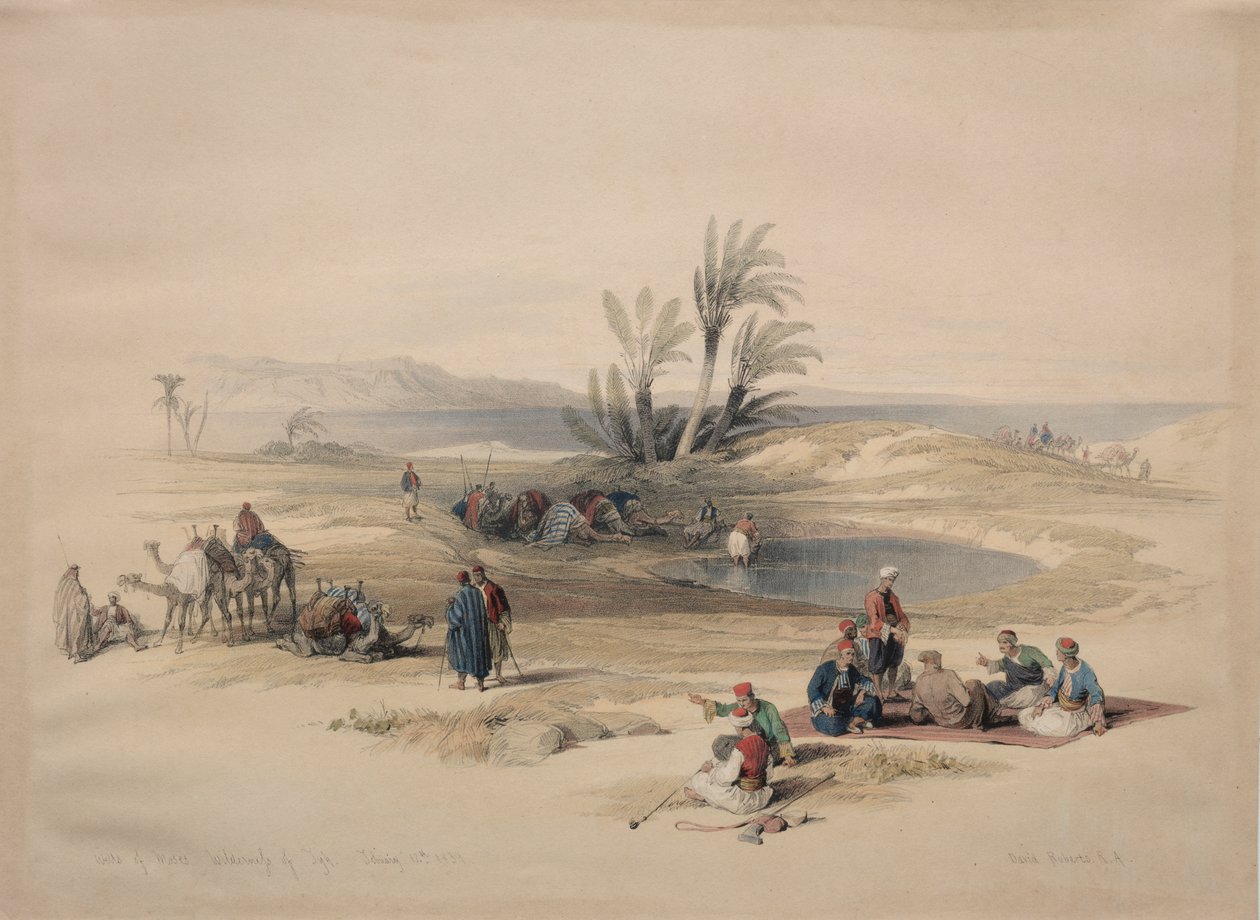 Puits de Moïse, désert de Tyh - David Roberts