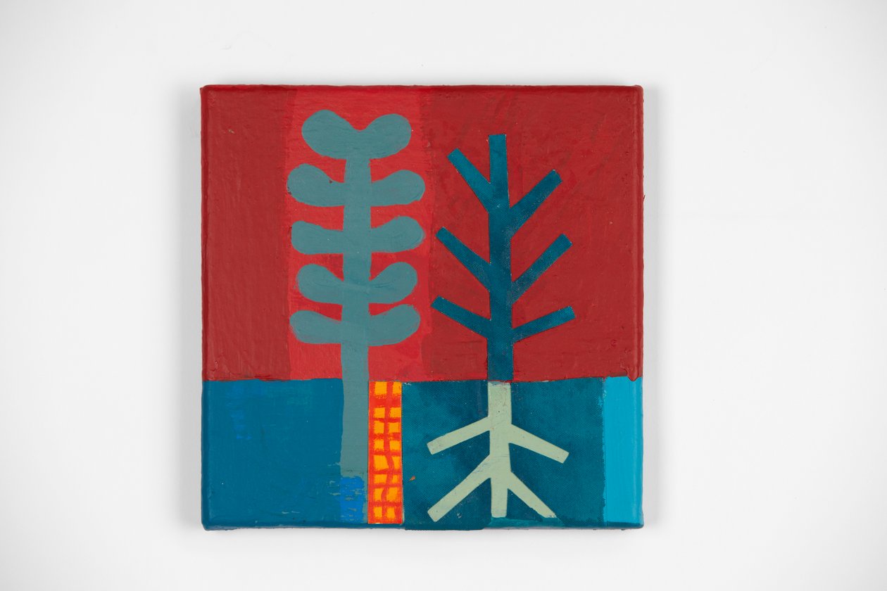 Feu sauvage - David Shillinglaw