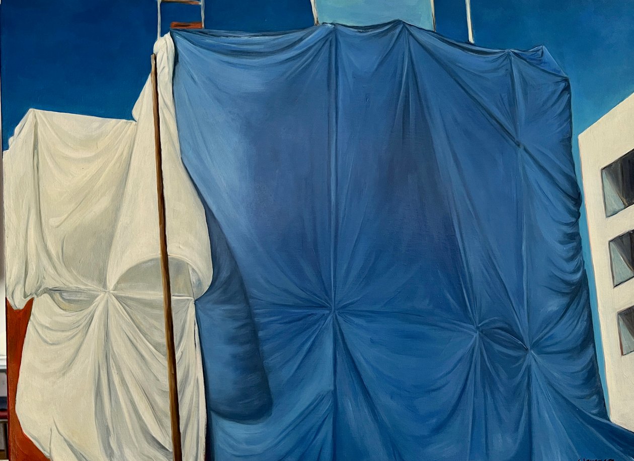 Drapé sur la Cinquième Avenue, 2003 - Deborah Stevenson