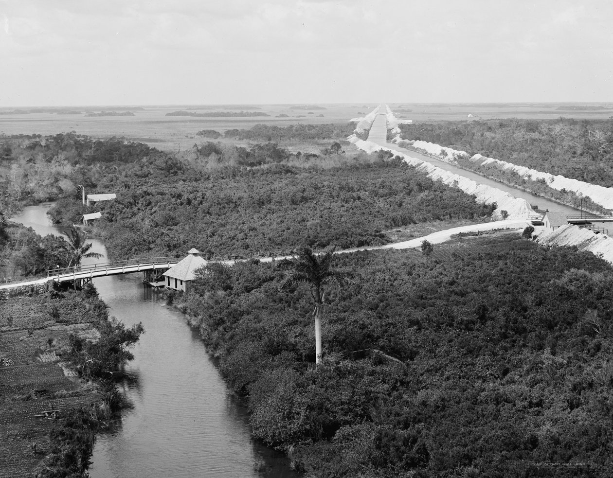 Canal de drainage et Everglades, Miami, Floride, vers 1910-20 - Detroit Publishing Co.