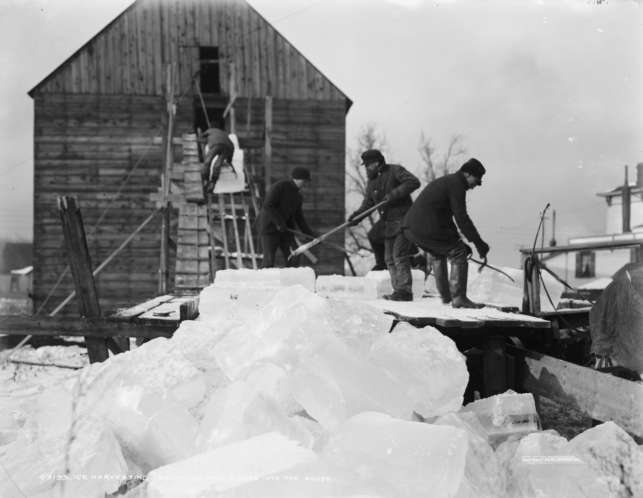 Récolte de Glace, tirant les blocs dans la maison, vers 1903 - Detroit Publishing Co.