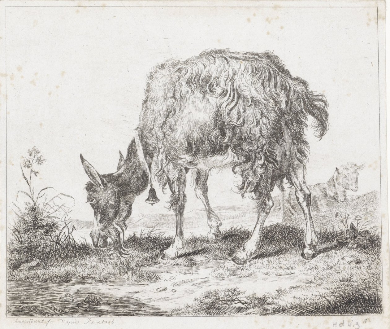 Chèvre broutant avec une cloche - Diederik Jan Singendonck