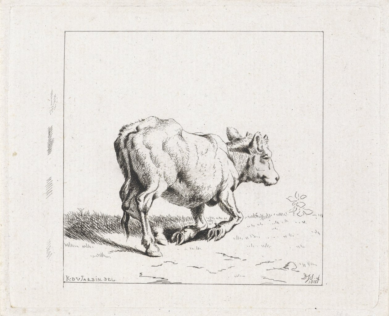 Veau se levant - Diederik Jan Singendonck