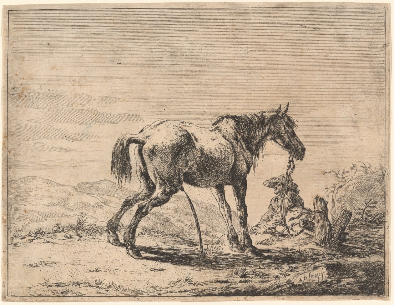 Cheval cabré près d