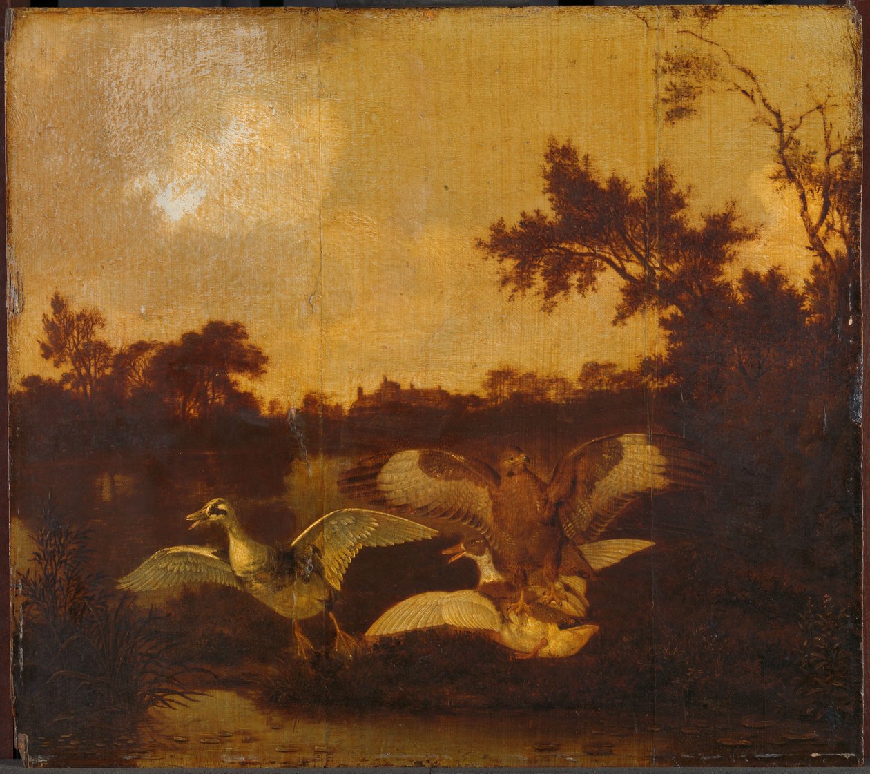 Une buse attaque deux canards - Dirck Wijntrack