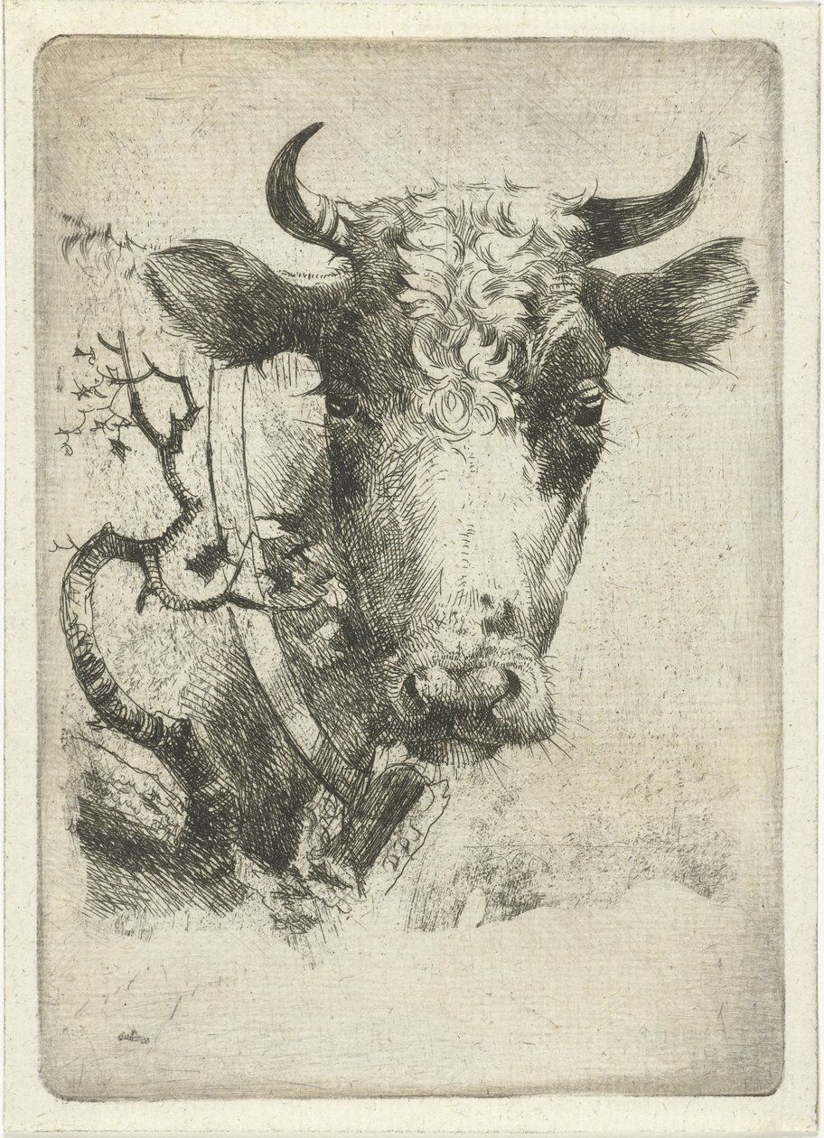 Tête de vache avec collier - Dirk Dirksen