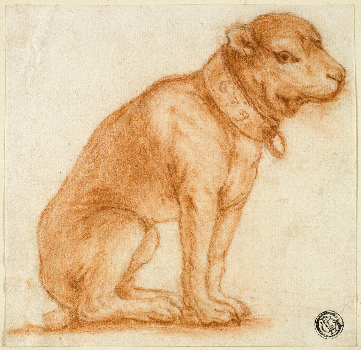 Chien assis avec collier - Dirk Valkenburg