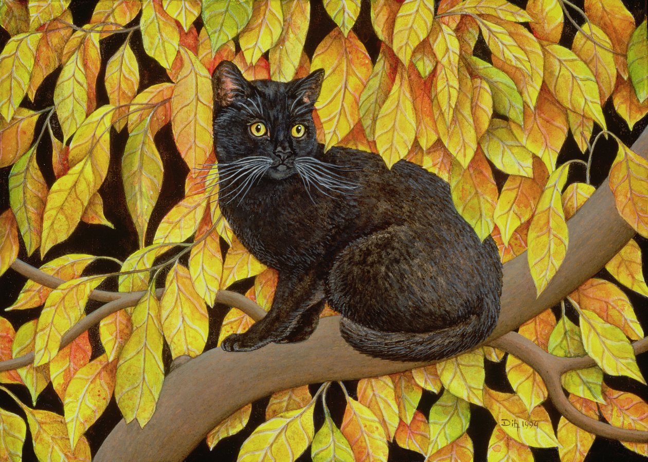 Feuilles d