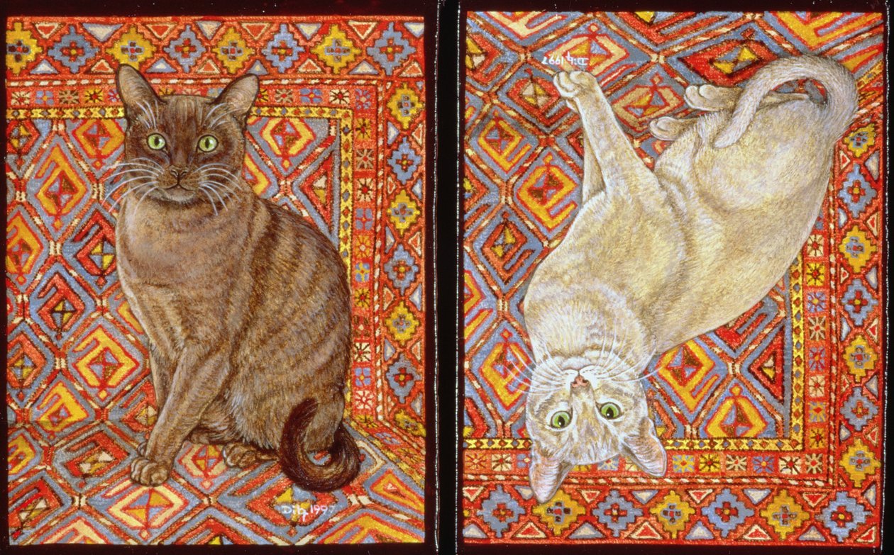 Patchwork de tapis birman - Ditz