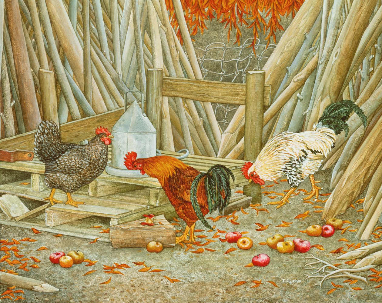 Nourriture pour Poulets - Ditz