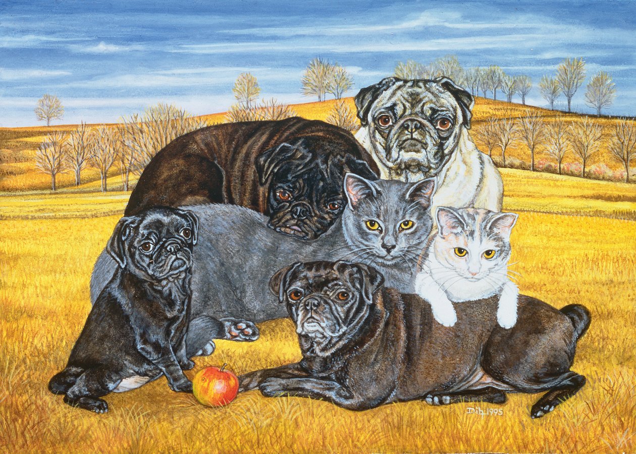 Chats-pugs du comté de Hocking, 1995 - Ditz