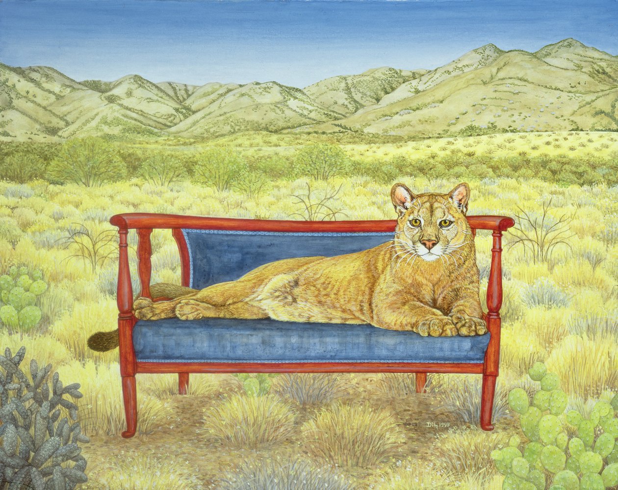 Le lion de montagne de Miller - Ditz