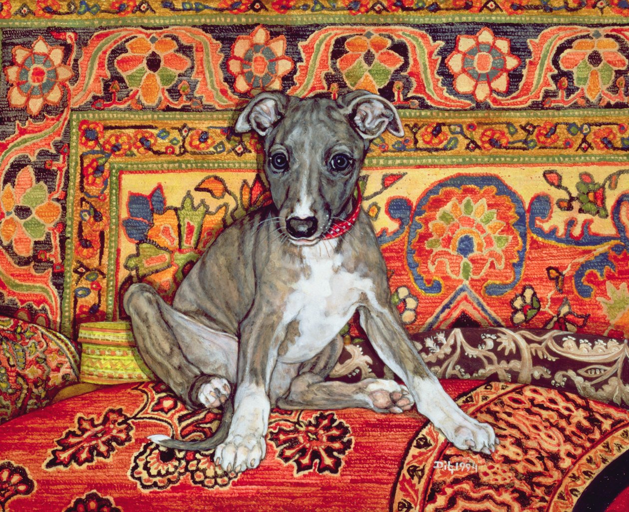Mon bébé whippet, 1994 - Ditz