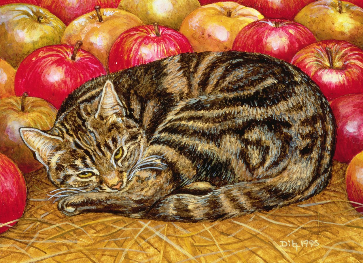Pomme-Droite-Chat - Ditz