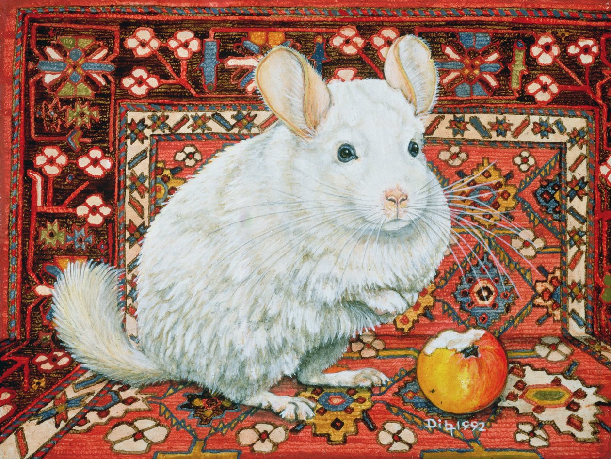 Le tapis-chinchilla, 1992 - Ditz