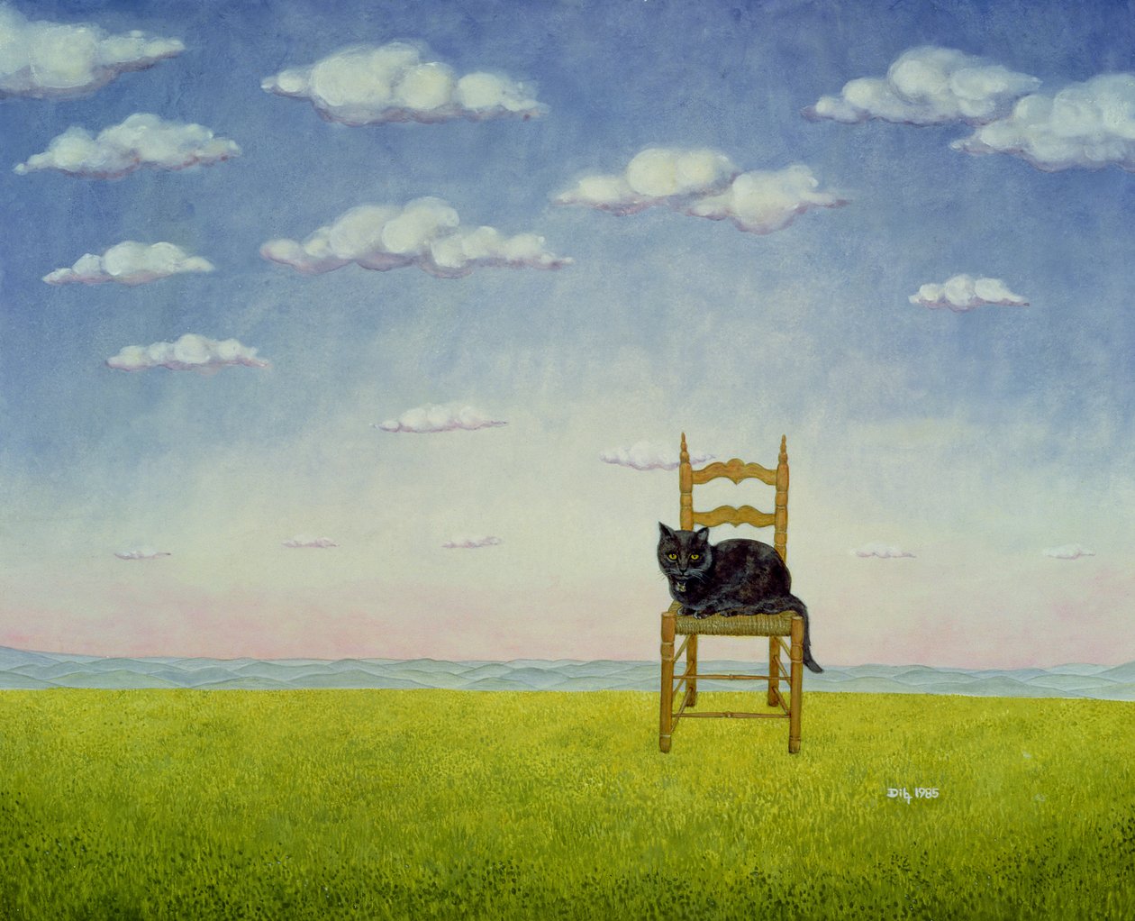 Le chat de la chaise - Ditz