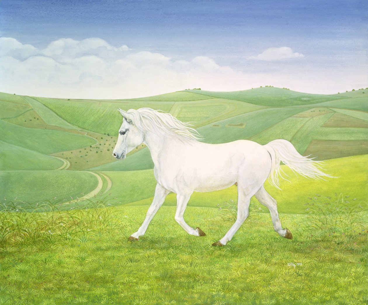 Le cheval paysage - Ditz