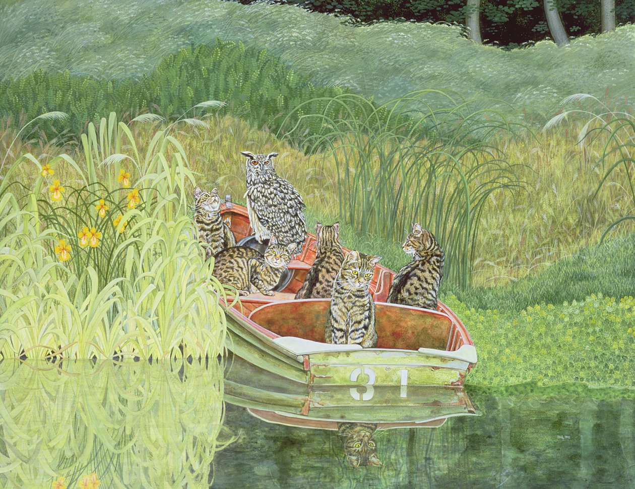 Le hibou et les chats - Ditz