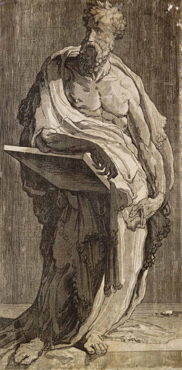 Un apôtre - Domenico di Pace Beccafumi  