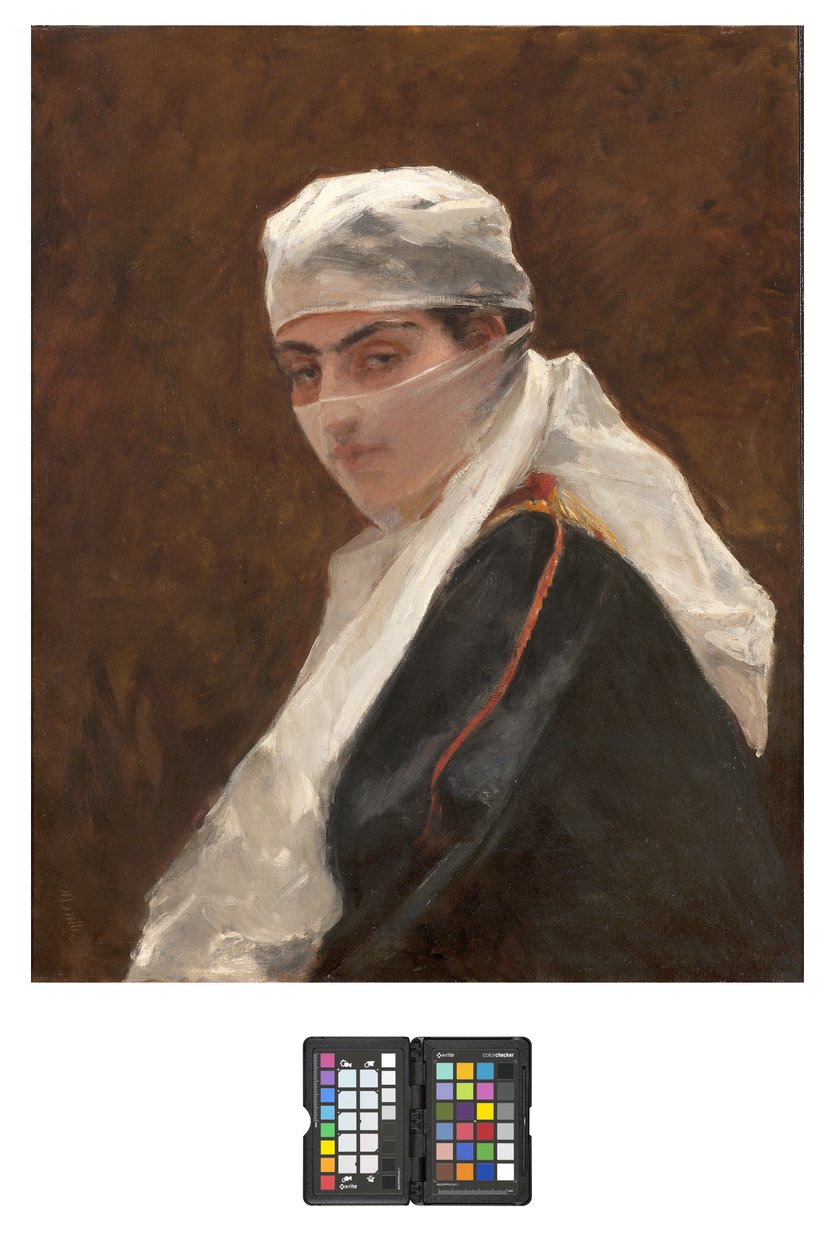 Odalisque, 1870-73 - Domenico Morelli