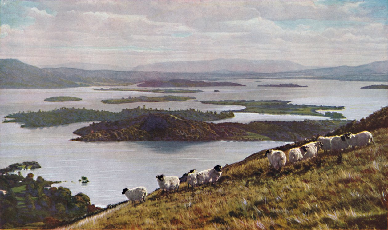 Écosse, vers 1930s - Donald McLeish