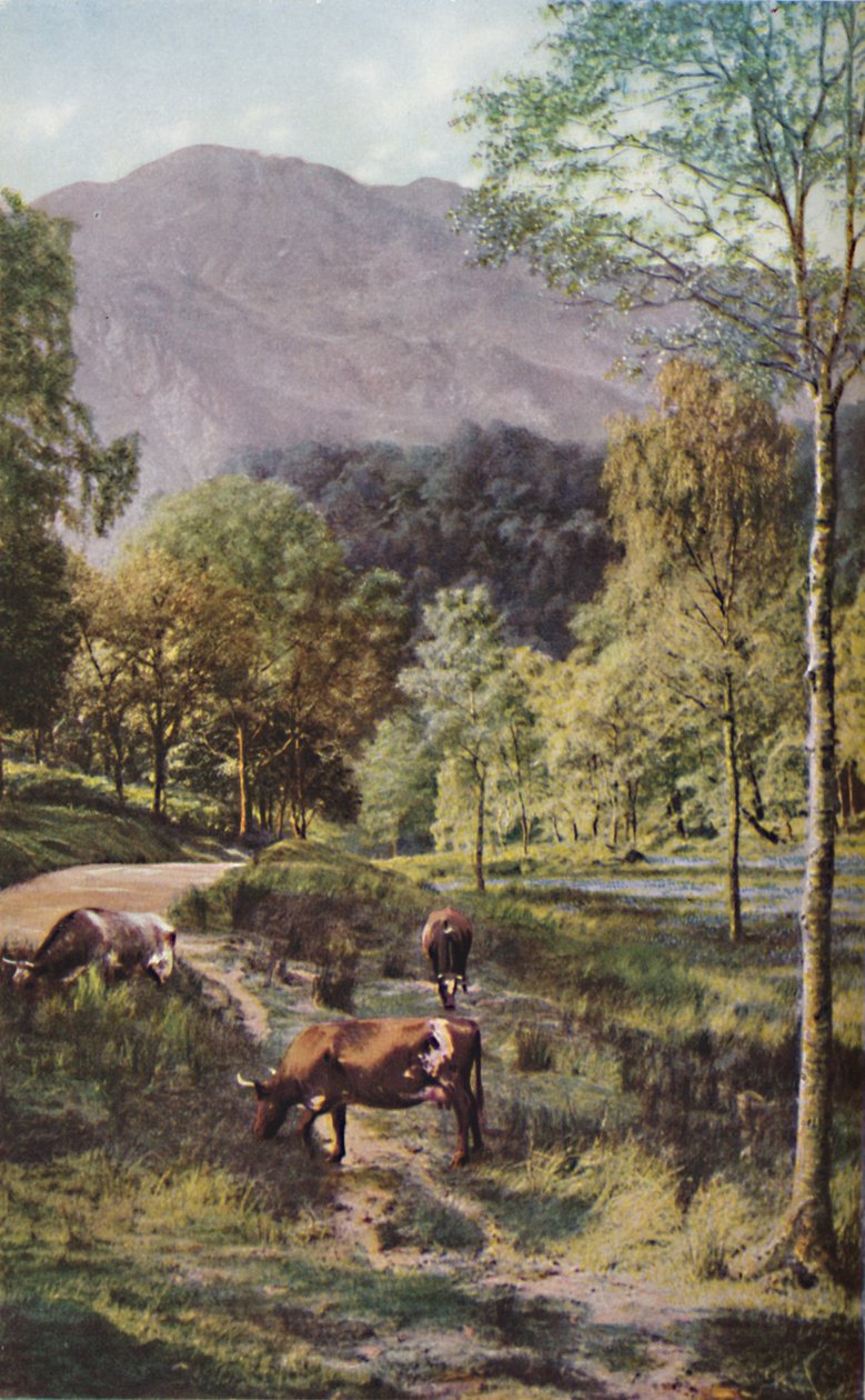Écosse, vers 1930 - Donald McLeish