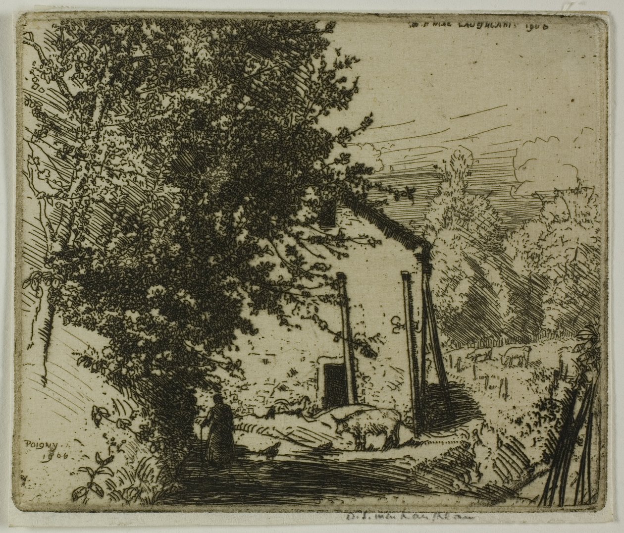Petit Poigny - Donald Shaw MacLaughlan