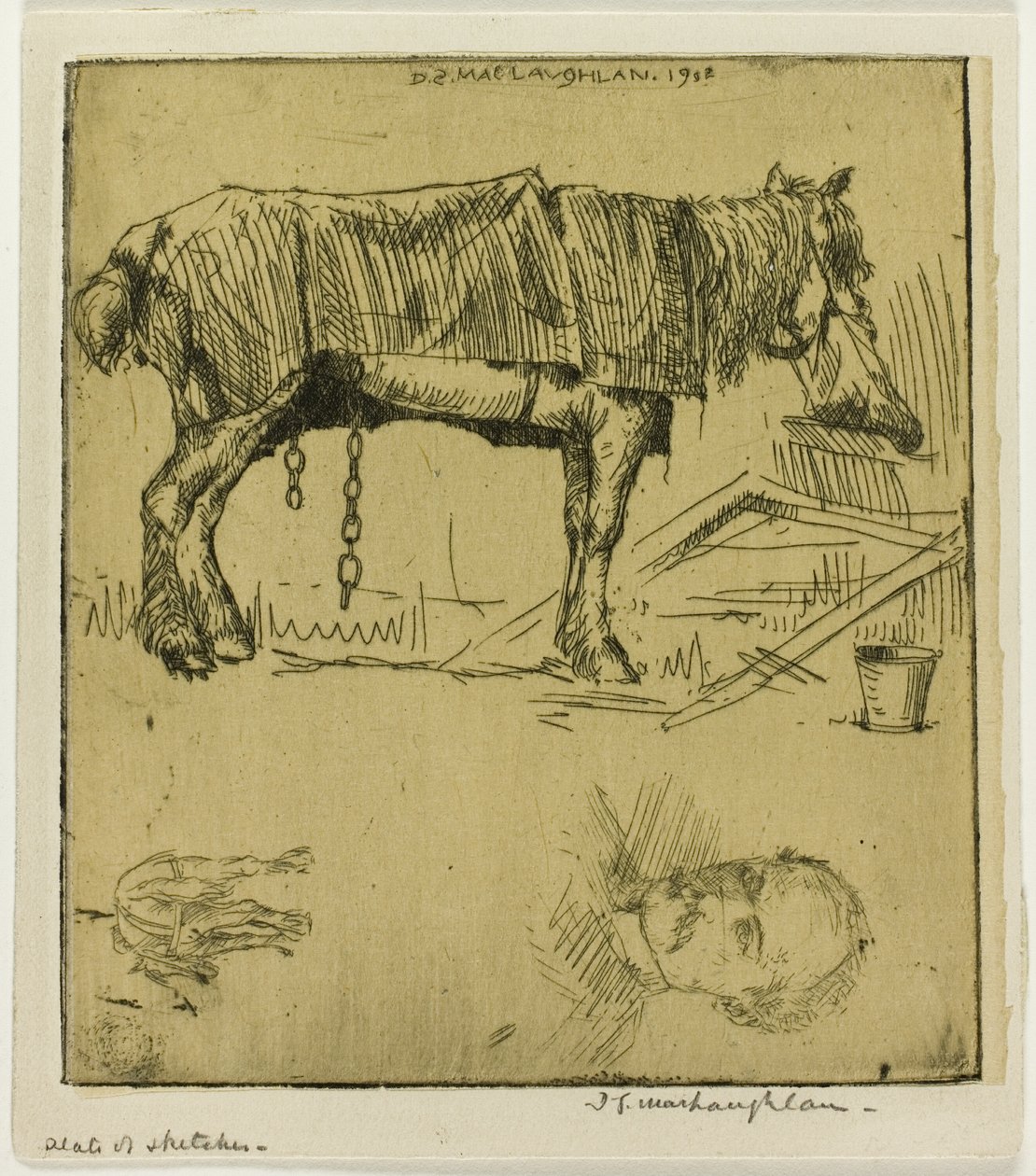 Plaque de Croquis - Donald Shaw MacLaughlan