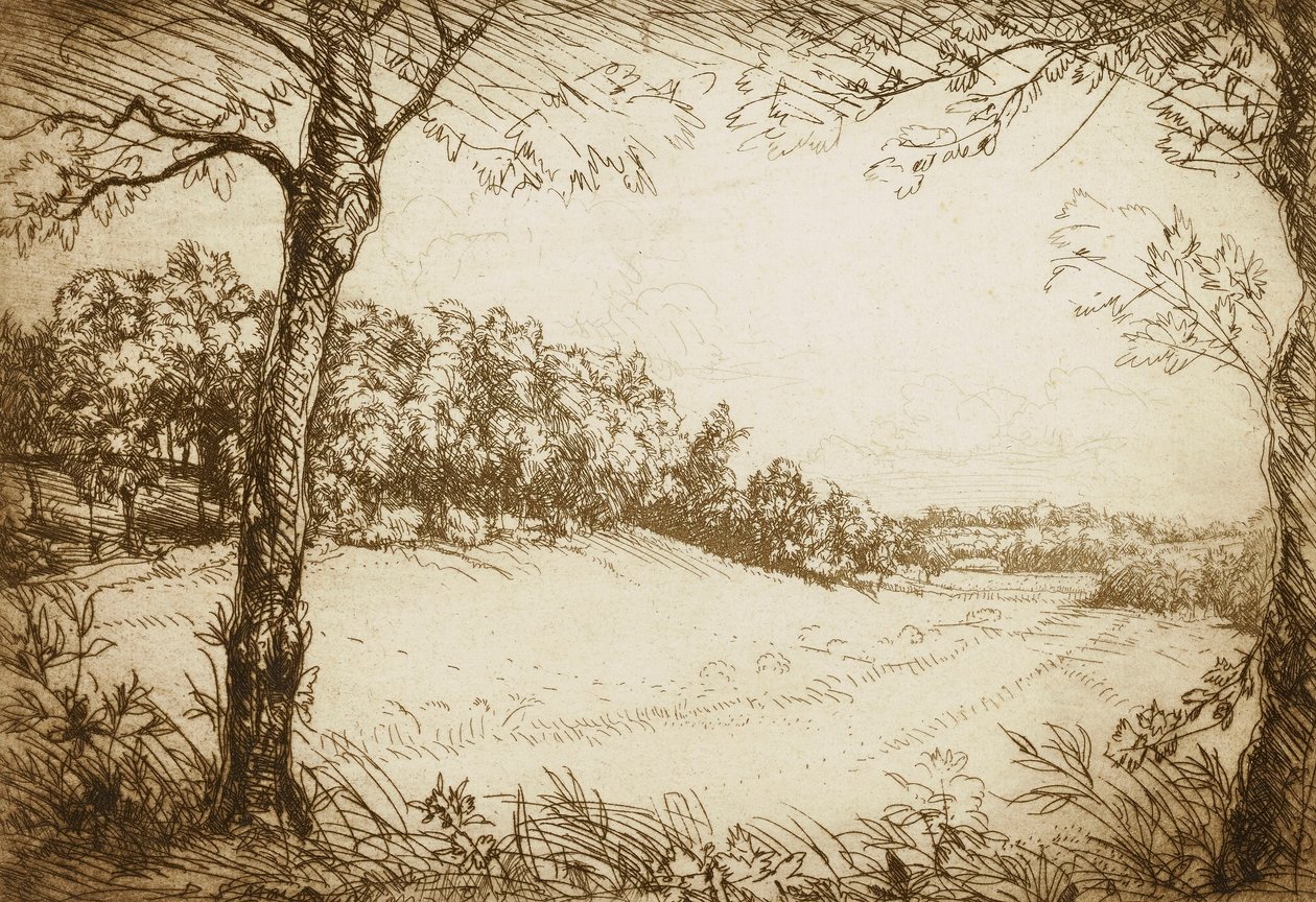 Matinée d