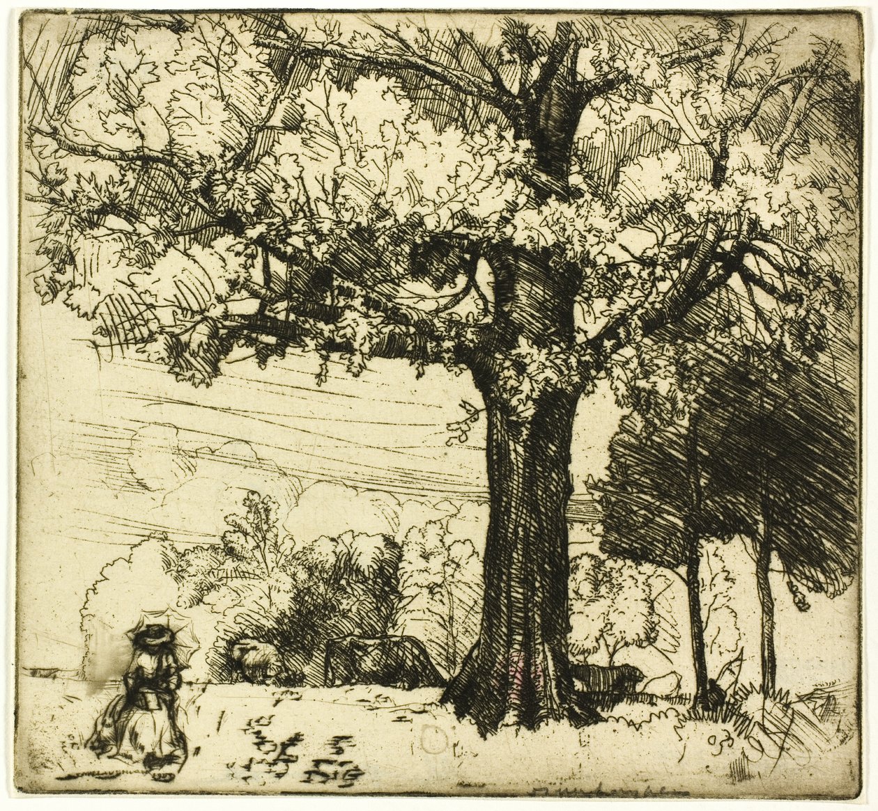 Le grand chêne - Donald Shaw MacLaughlan