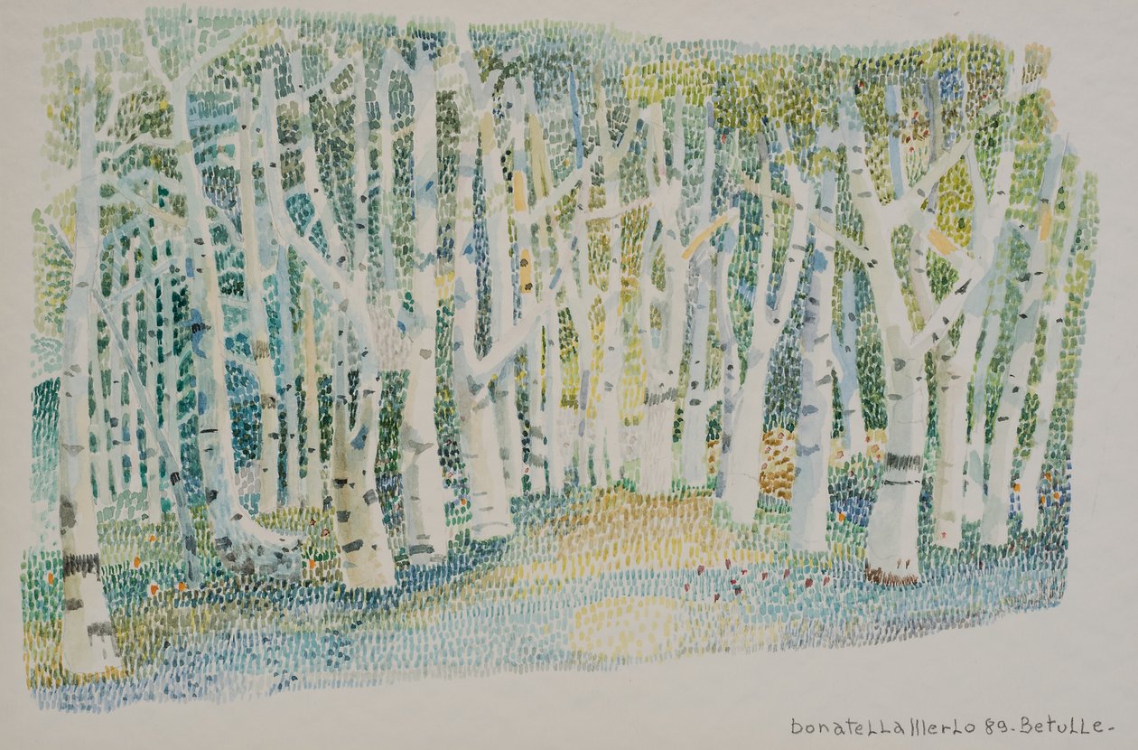 Forêt de bouleaux - Donatella Merlo