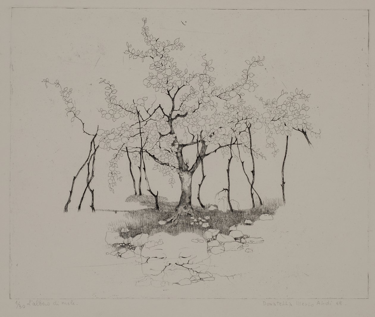 Le pommier - Donatella Merlo