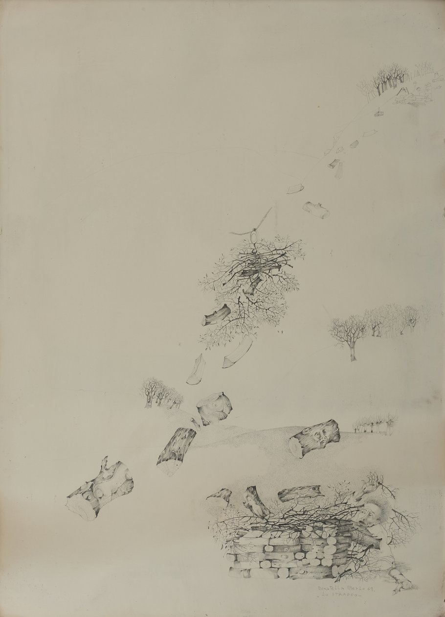 La larme - Donatella Merlo