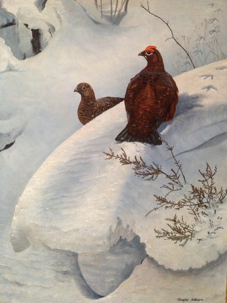Tétras dans la neige, vers 1985 (huile sur toile) - Douglas Anderson